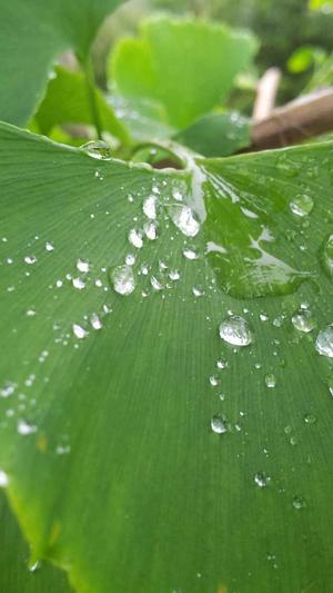 艾玛沃特森黑料截图4